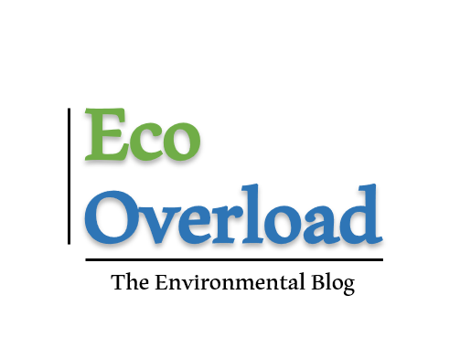 Eco Overload, the environmental blog